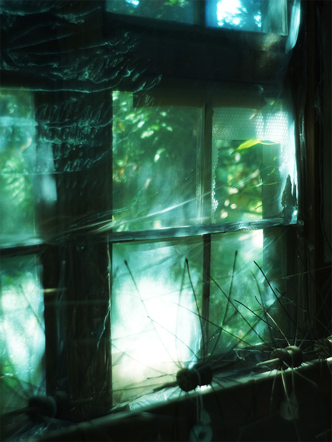古いガラスの窓に映る木々の影